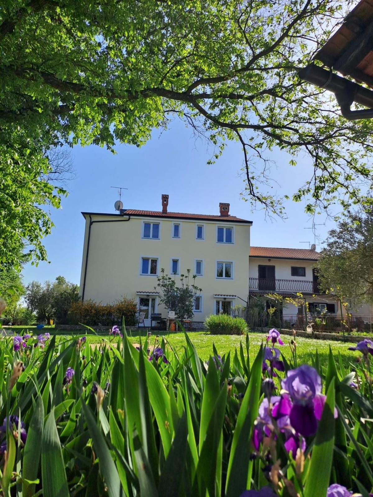 Apartamento Marija